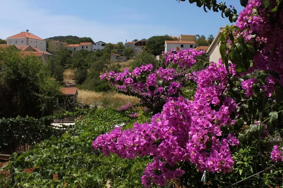 Ferienwohnung in Dugi Otok  999212452 40081 – Foto 8