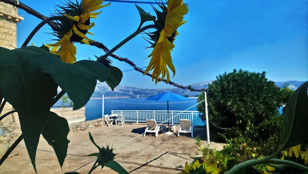 Ferienwohnung in Korcula haustiergeeignet 999203921 32145 – Foto 23
