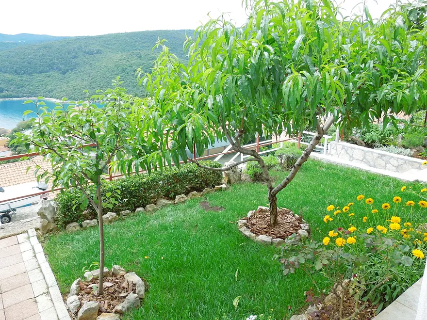 Ferienwohnung in Labin  999203561 31799 – Foto 3