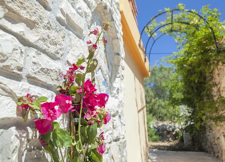 Ferienwohnung in Korcula  999210417 38279 – Foto 28