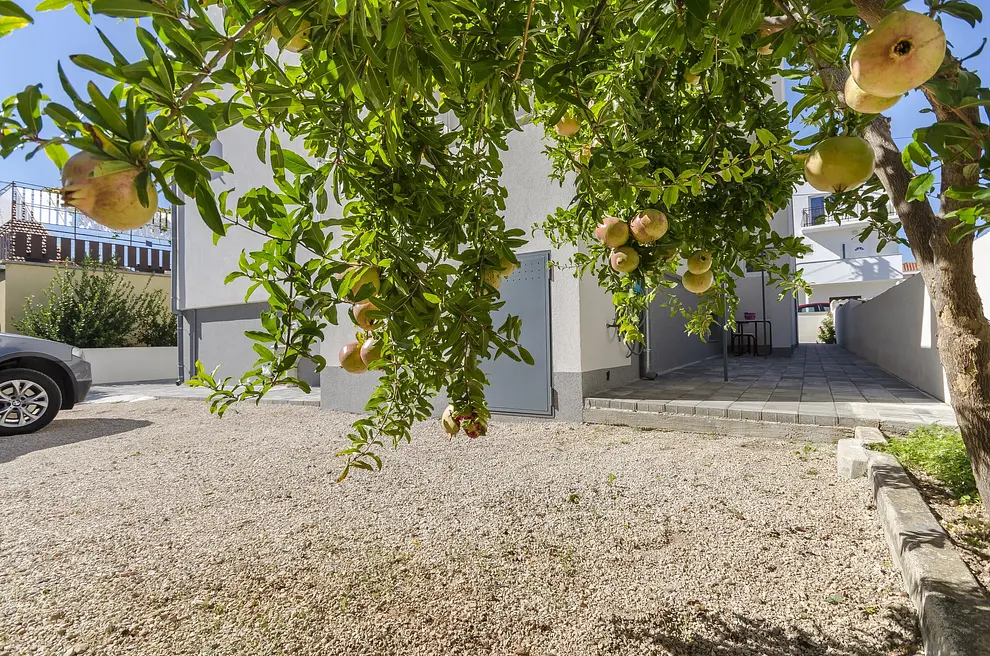 Ferienwohnung in Vodice  999203163 31419 – Foto 20