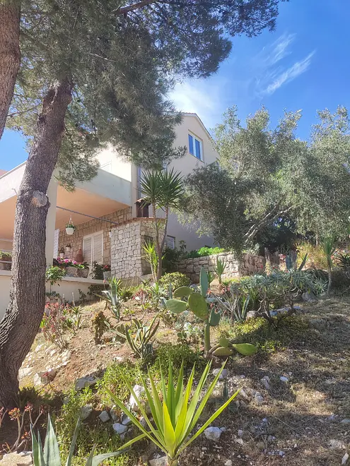 Ferienwohnung in Lastovo  999205385 33541 – Foto 11