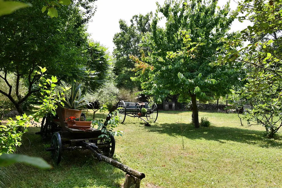 Ferienwohnung in Zminj mit Pool und haustiergeeignet 999208359 36330
