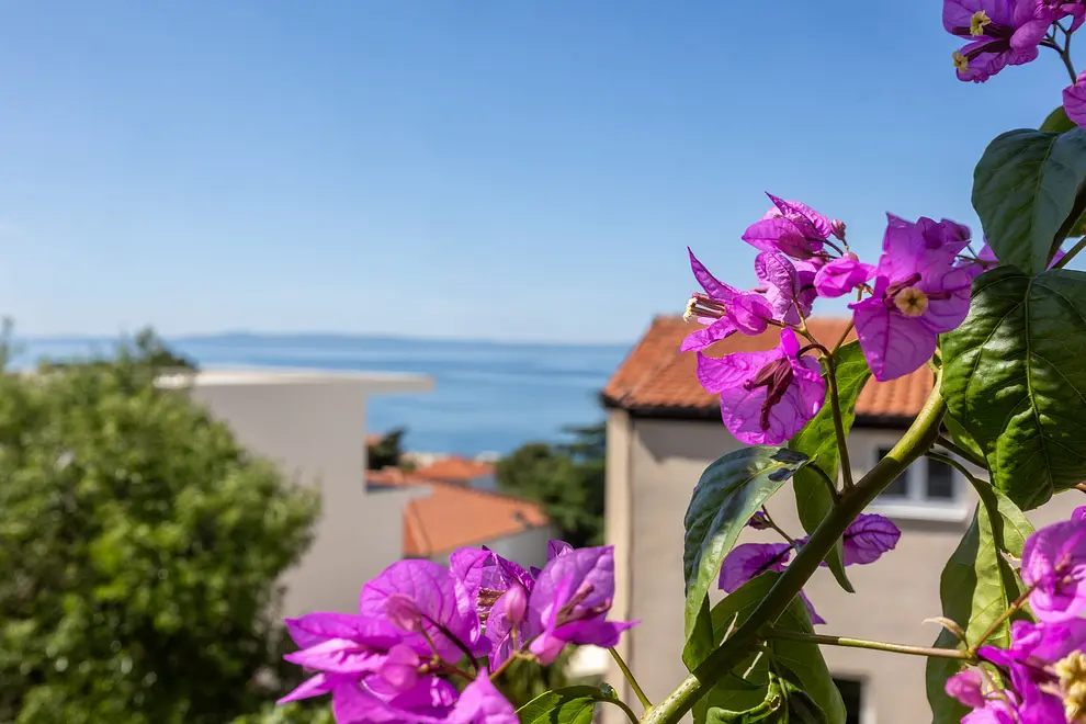 Ferienwohnung in Baska Voda  999207632 35660 – Foto 4