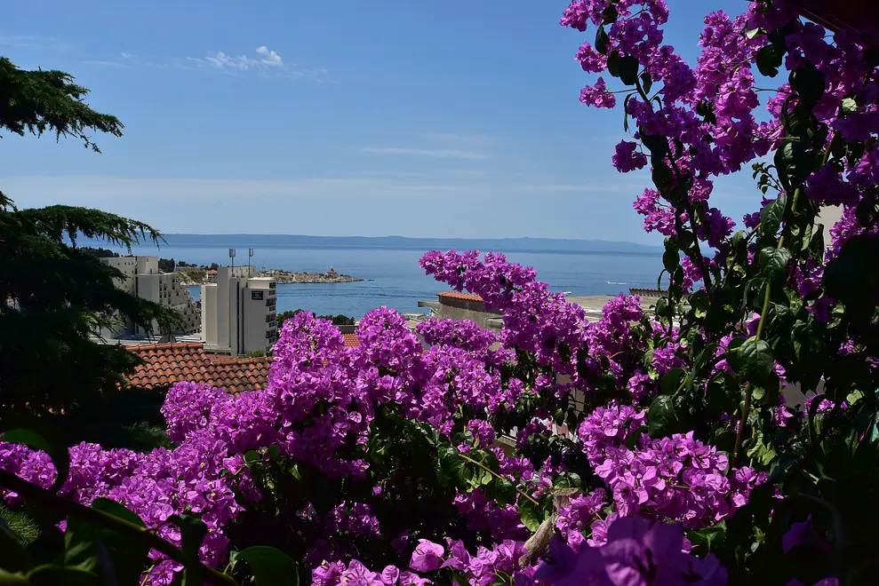 Ferienwohnung in Makarska  66142116 23791