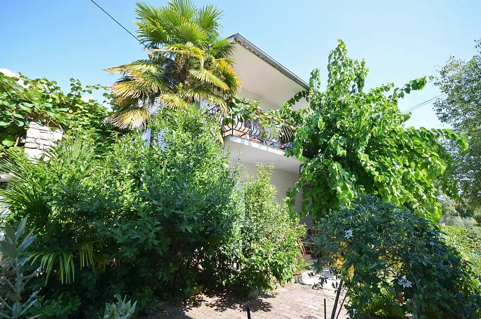 Ferienwohnung in Rovinj  999203459 31707