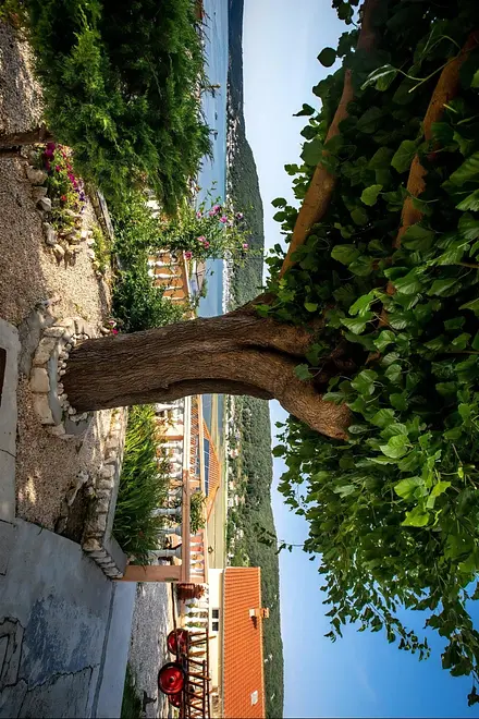 Ferienwohnung in Rab  999209775 37681 – Foto 6