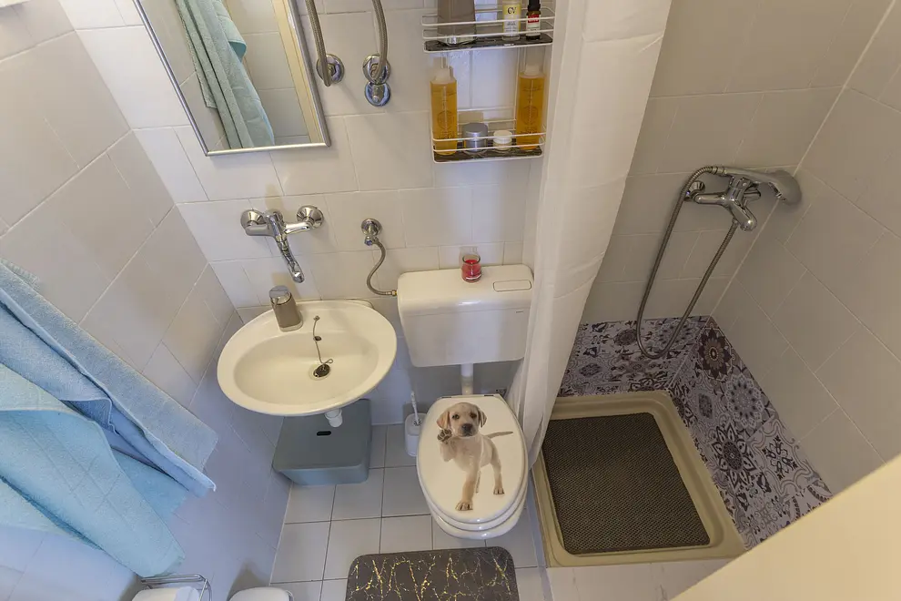 Ferienwohnung in Labin mit Pool 999211712 39460 – Foto 33