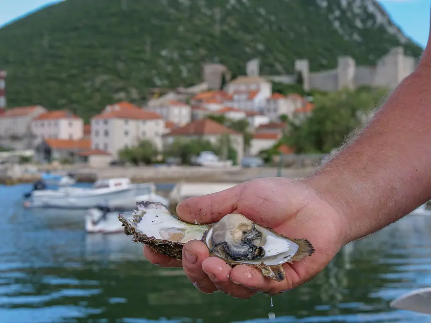 Ferienwohnung in Peljesac  999203069 31328 – Foto 24