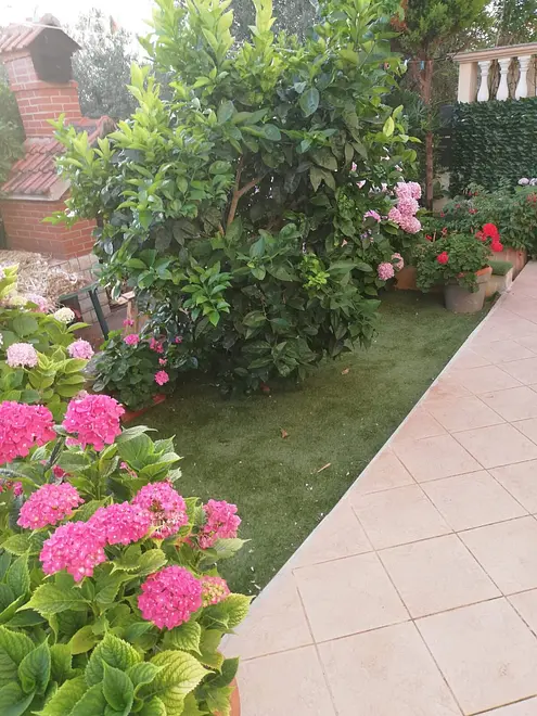 Ferienwohnung in Preko  999230612 42757 – Foto 3