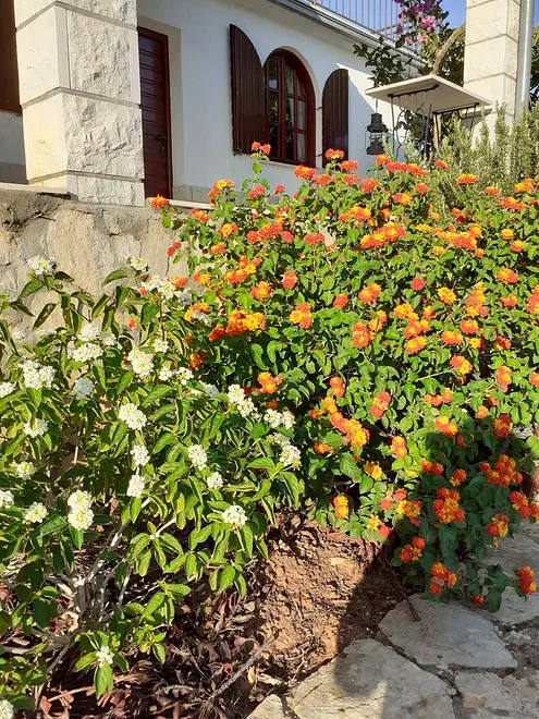 Ferienwohnung in Blato  999203993 32217 – Foto 7