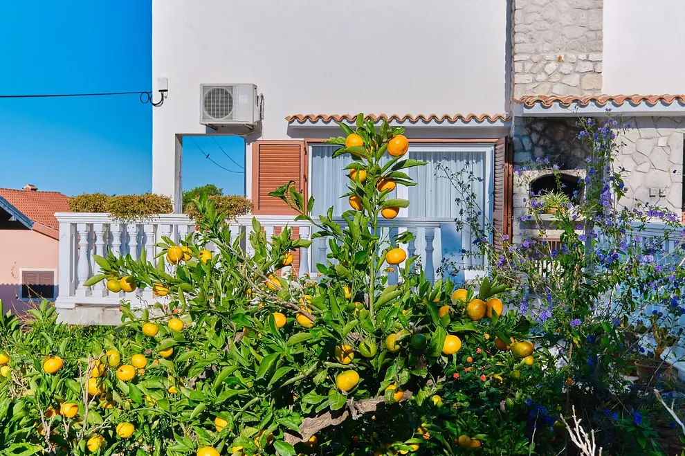 Ferienwohnung in Losinj  999211494 39263 – Foto 30