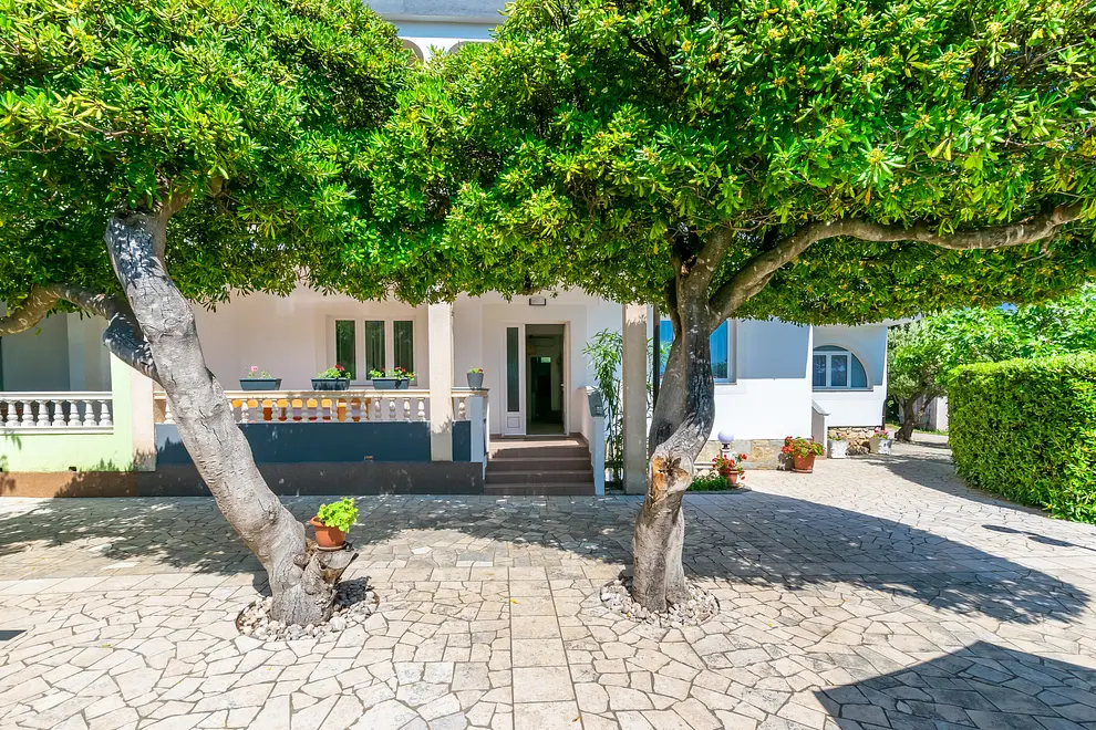Ferienwohnung in Banjol  999208910 36856 – Foto 4
