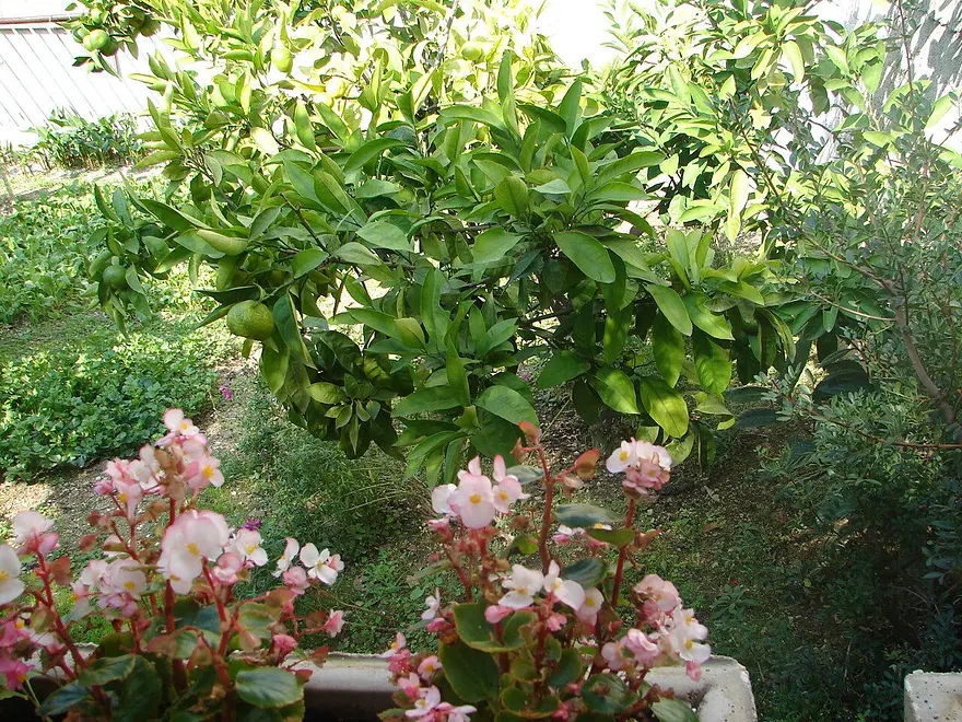 Ferienwohnung in Omis  66151682 25752