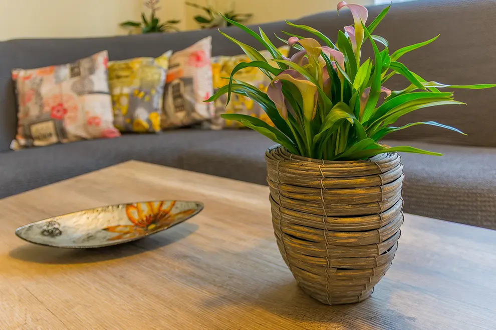 Ferienwohnung in Matulji mit Pool 999212544 40148 – Foto 23