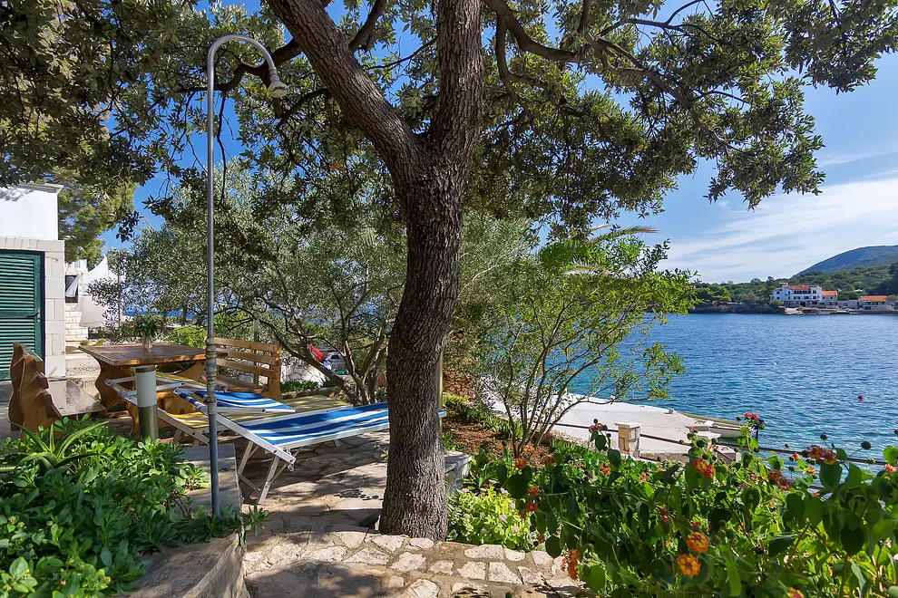 Ferienwohnung in Hvar haustiergeeignet 66113308 4234