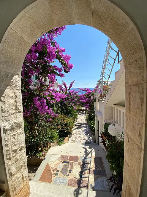 Ferienwohnung in Hvar haustiergeeignet 66151584 25666