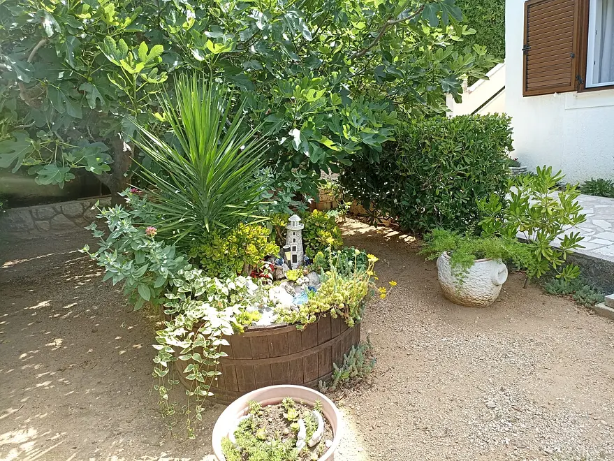 Ferienwohnung in Pag  999202606 30882