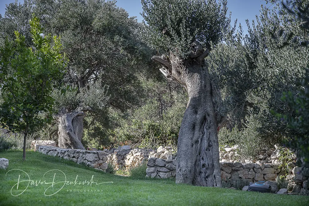 Ferienhaus in Pag mit Pool 999210483 38338