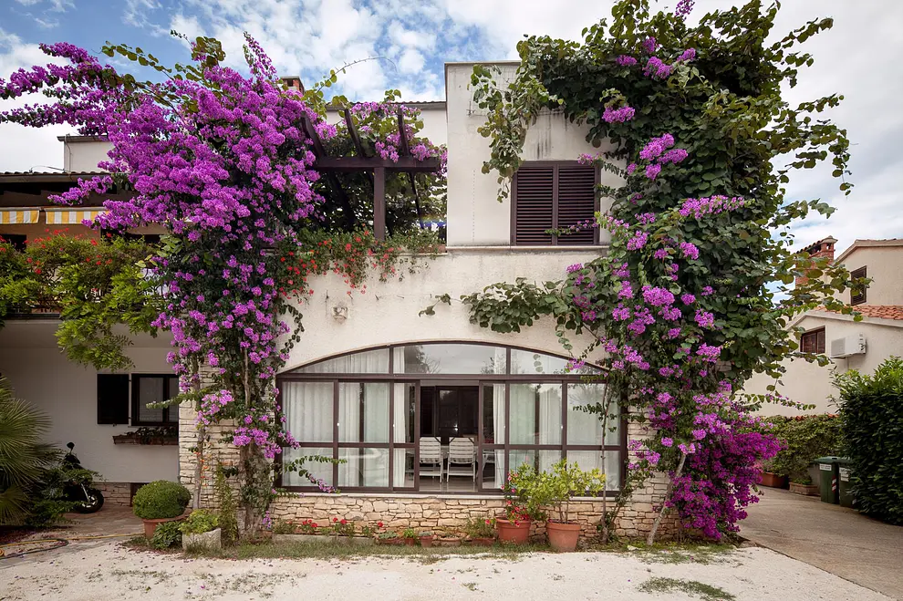 Ferienwohnung in Rovinj  999209154 37084 – Foto 15