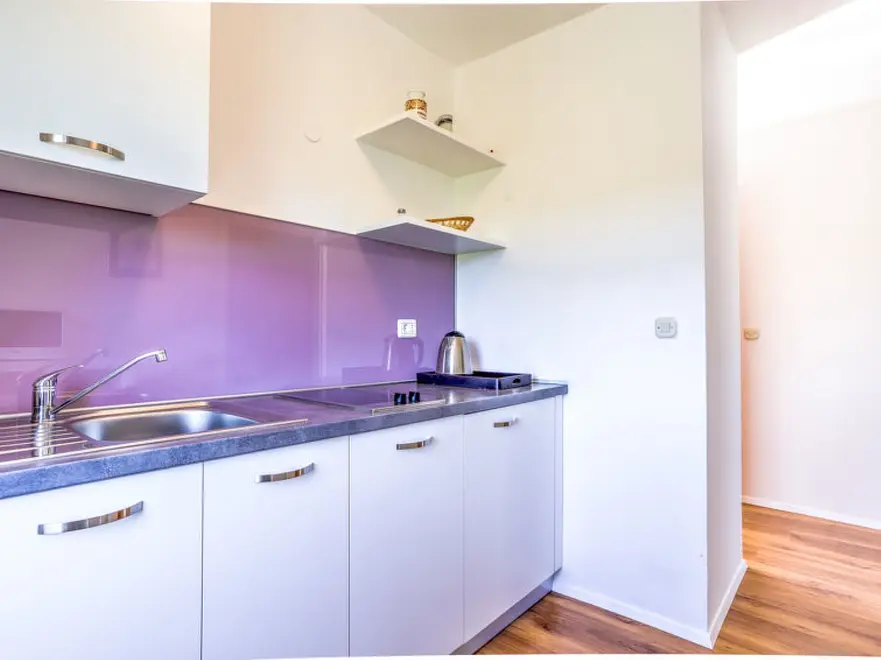 Ferienwohnung in Umag  66132772 17897