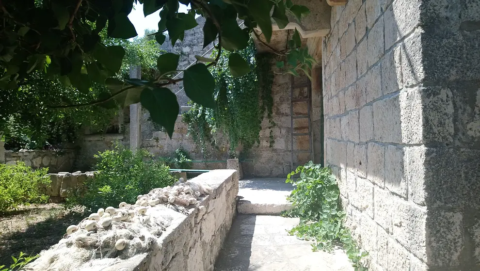 Ferienwohnung in Korcula haustiergeeignet 999203921 32145 – Foto 15