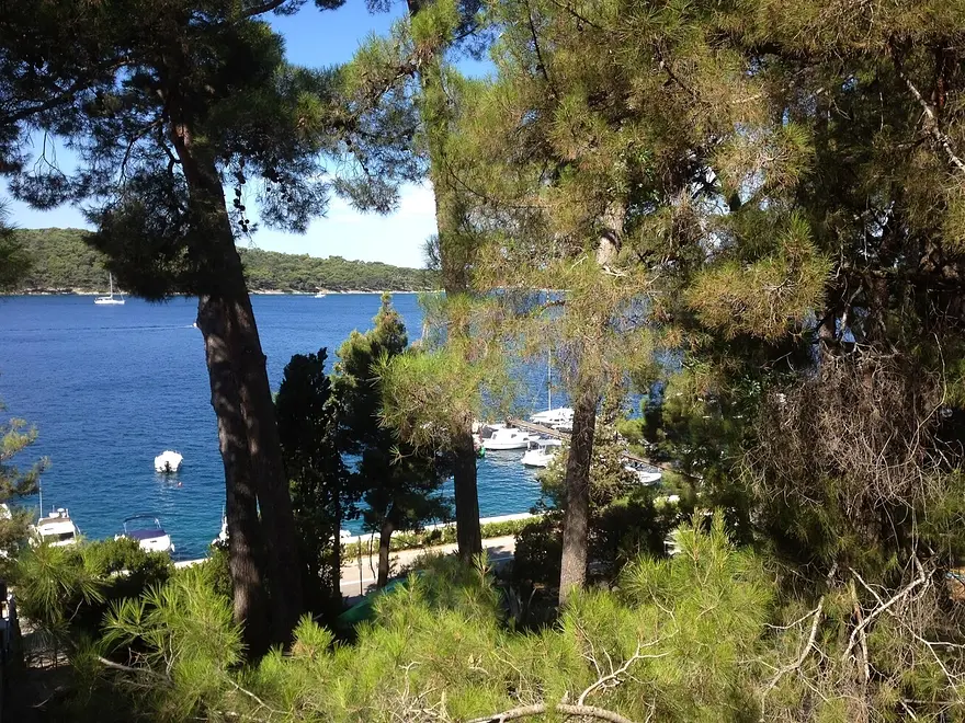 Ferienwohnung in Losinj haustiergeeignet 999210378 38240 – Foto 14