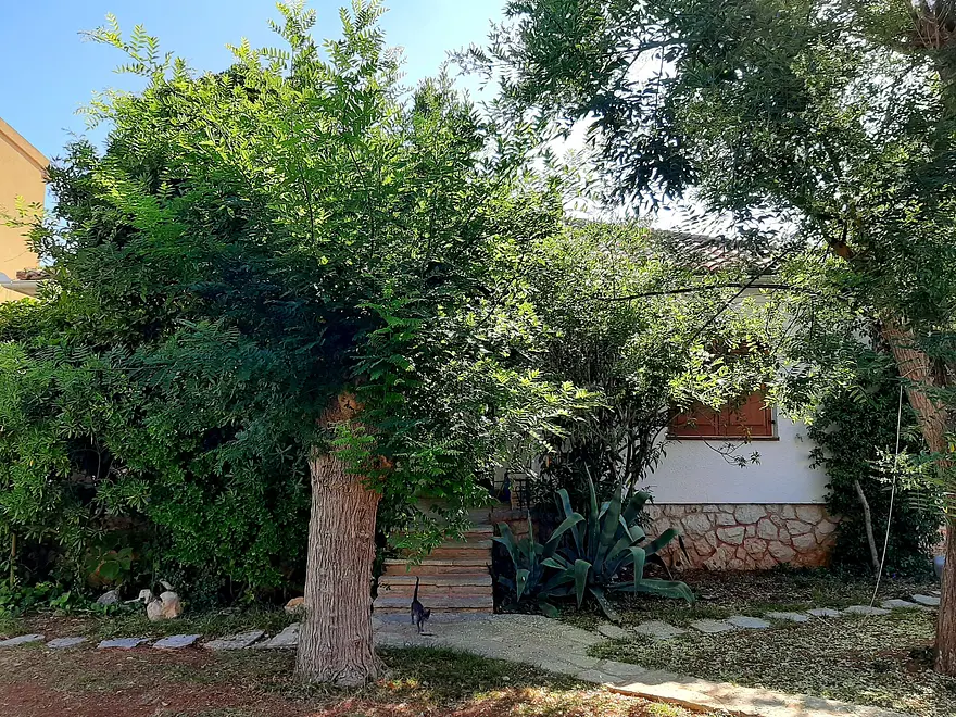 Ferienwohnung in Novalja  999208994 36935 – Foto 19