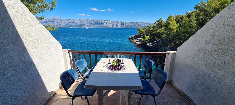 Ferienwohnung in Hvar haustiergeeignet 66137749 20866