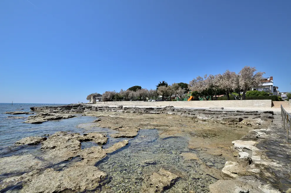 Ferienwohnung in Novigrad in Dalmatien  999208116 36093 – Foto 18