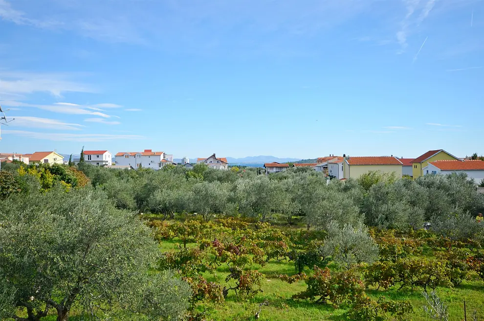 Ferienappartment in Tribunj mit Pool 66123220 10548