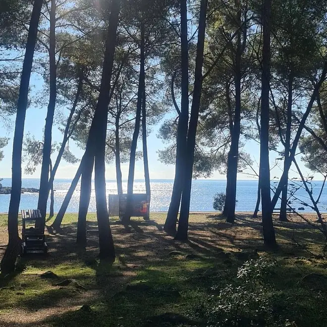 Ferienwohnung in Rovinj  999211782 39520 – Foto 13