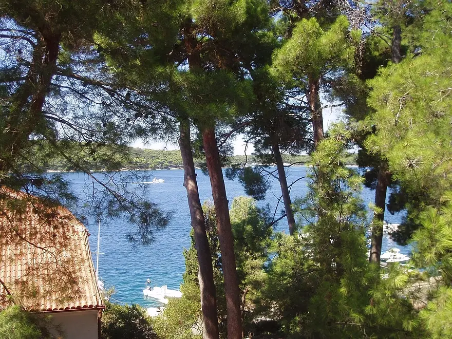 Ferienwohnung in Losinj haustiergeeignet 999210374 38236 – Foto 5