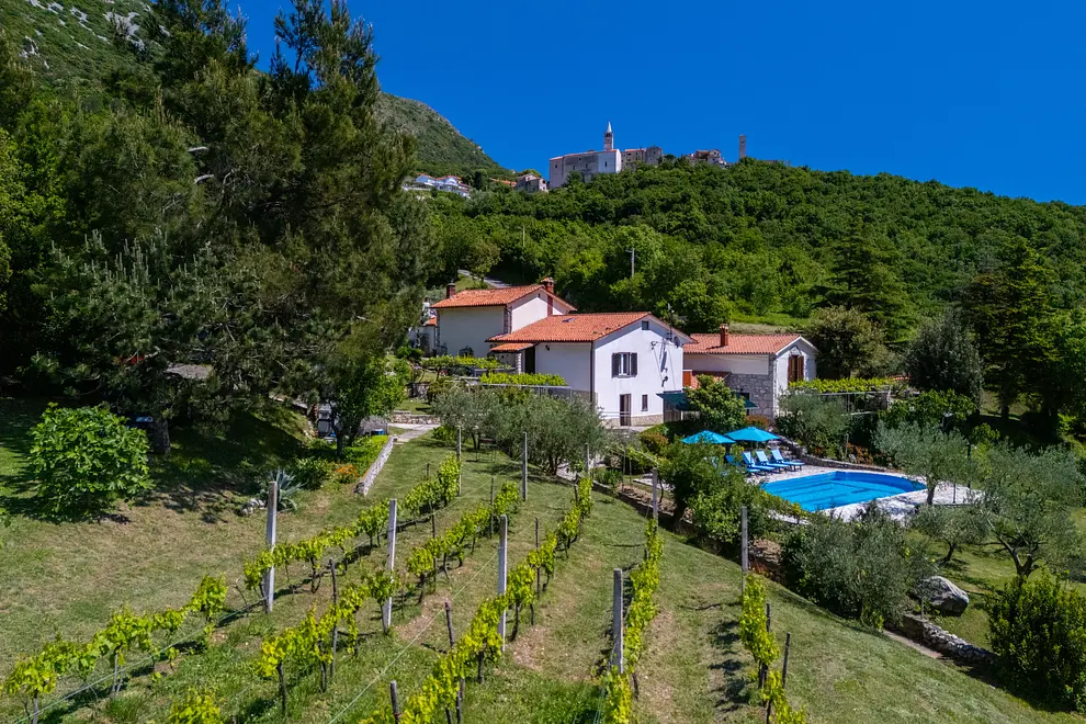 Ferienwohnung in Krsan mit Pool 999204996 33168 – Foto 66