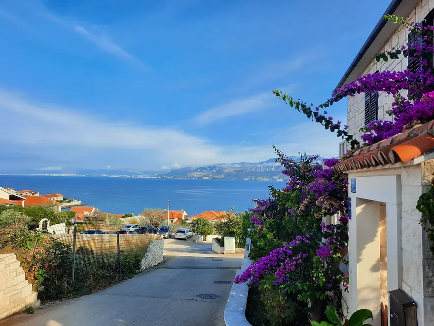 Ferienwohnung in Brac haustiergeeignet 66141970 23680