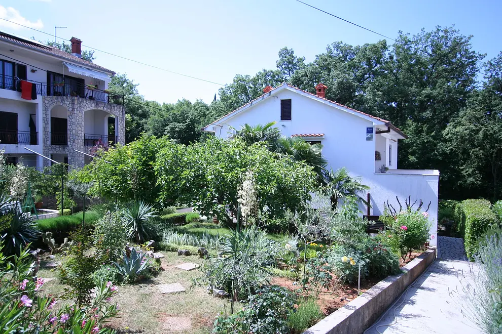 Ferienwohnung in Dobrinj  66127962 14243