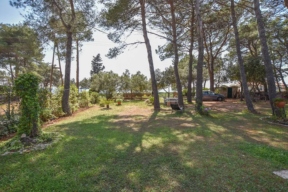 Ferienwohnung in Dugi Otok  999202562 30839 – Foto 11
