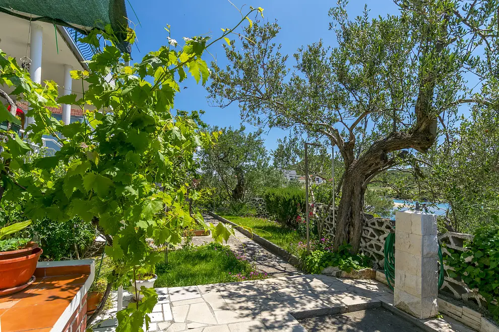 Ferienwohnung in Rogoznica  999206754 34842 – Foto 23