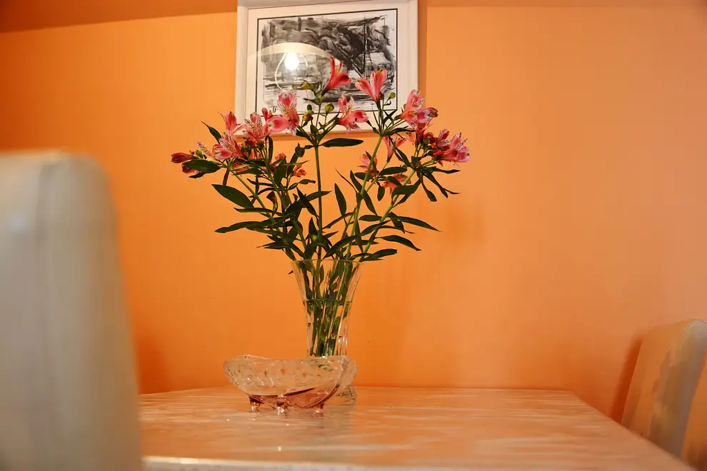 Ferienwohnung in Brac  999202688 30962 – Foto 39