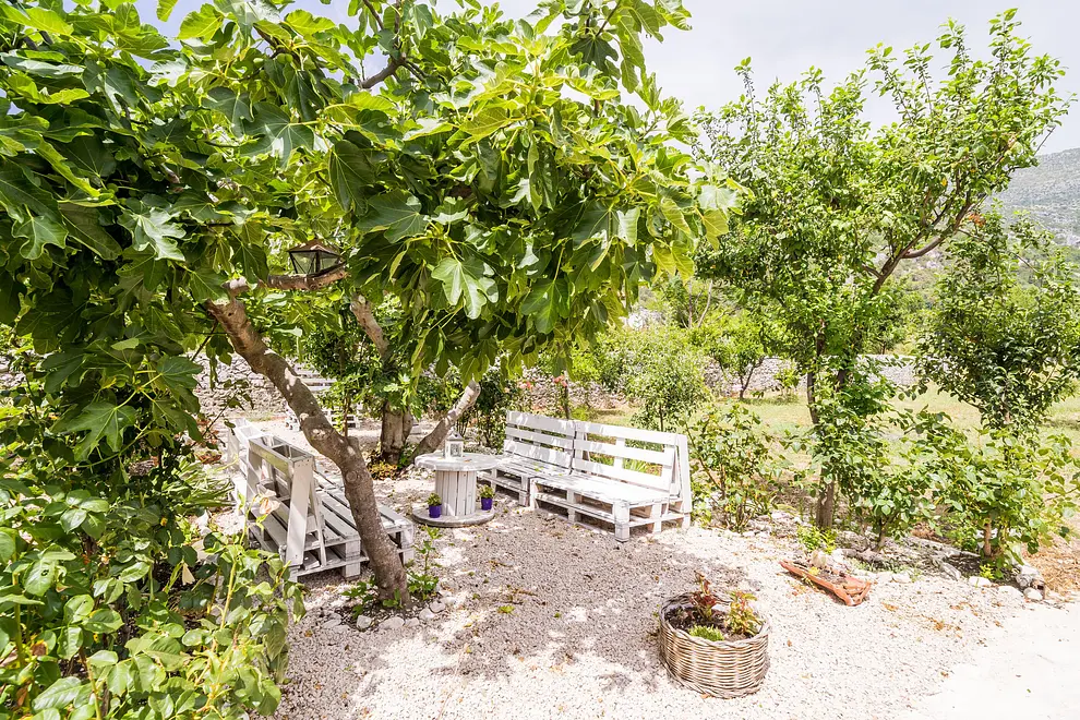 Ferienwohnung in Dubrovacko Primorje  999225856 42443 – Foto 23