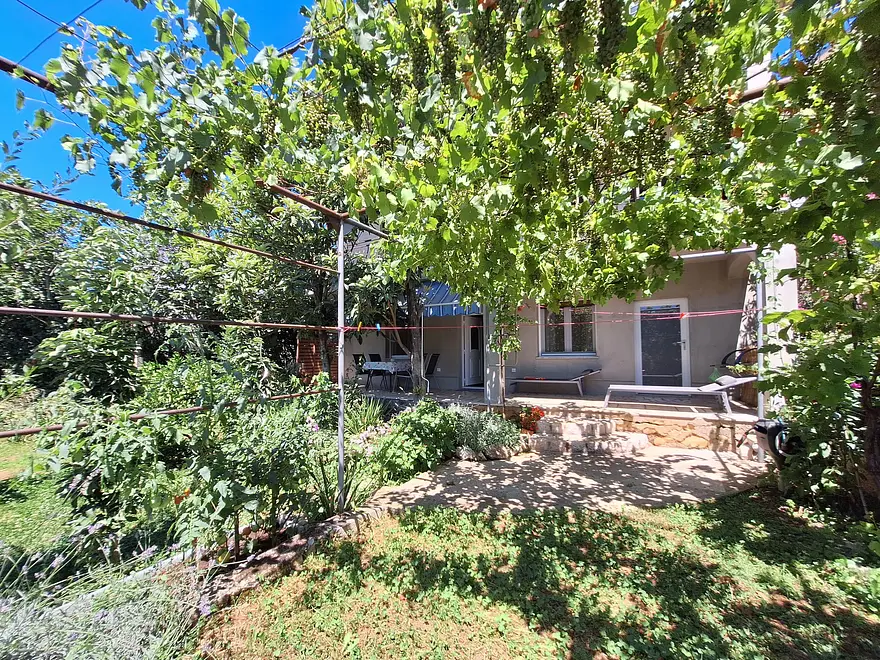 Ferienwohnung in Crikvenica haustiergeeignet 66142384 24008