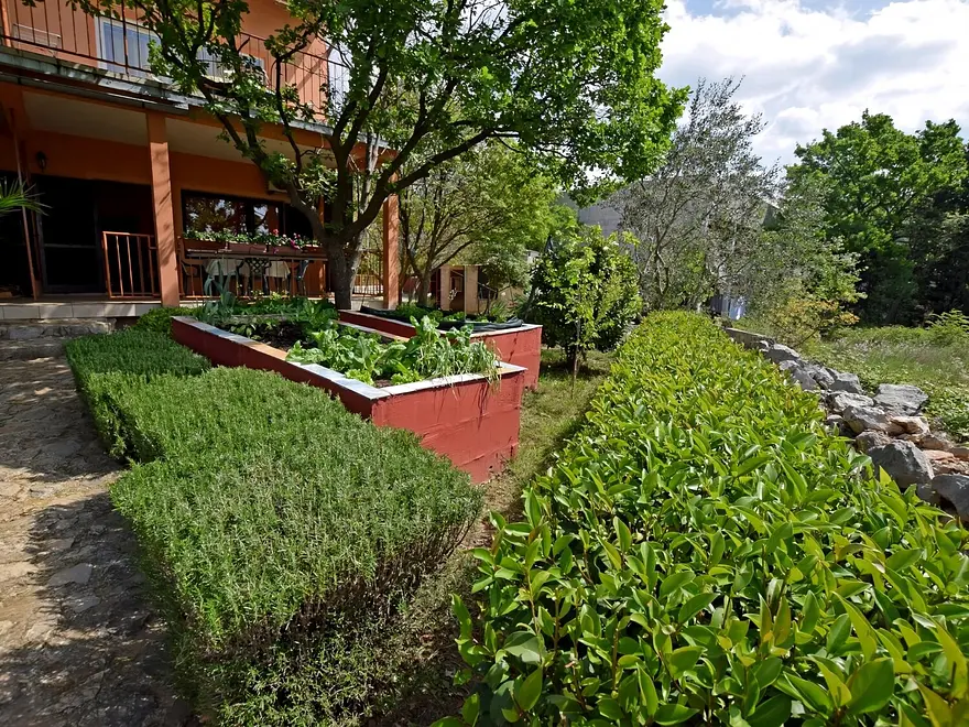 Ferienwohnung in Starigrad  999213181 40718 – Foto 22