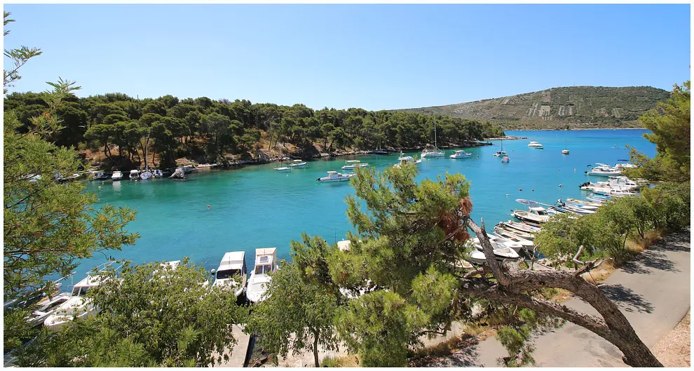 Ferienwohnung in Primosten  66127554 13895