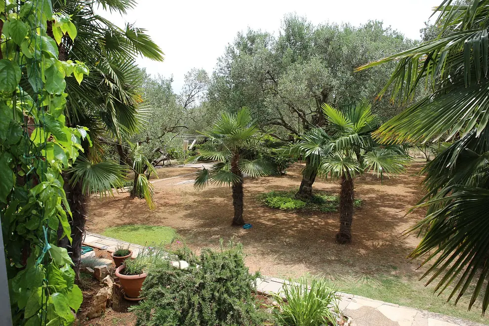 Ferienwohnung in Vodice  999213074 40614 – Foto 17