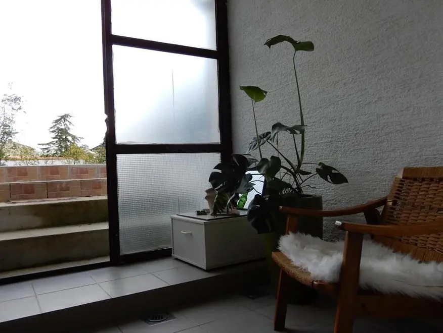Ferienwohnung in Umag haustiergeeignet 999212093 39797 – Foto 2
