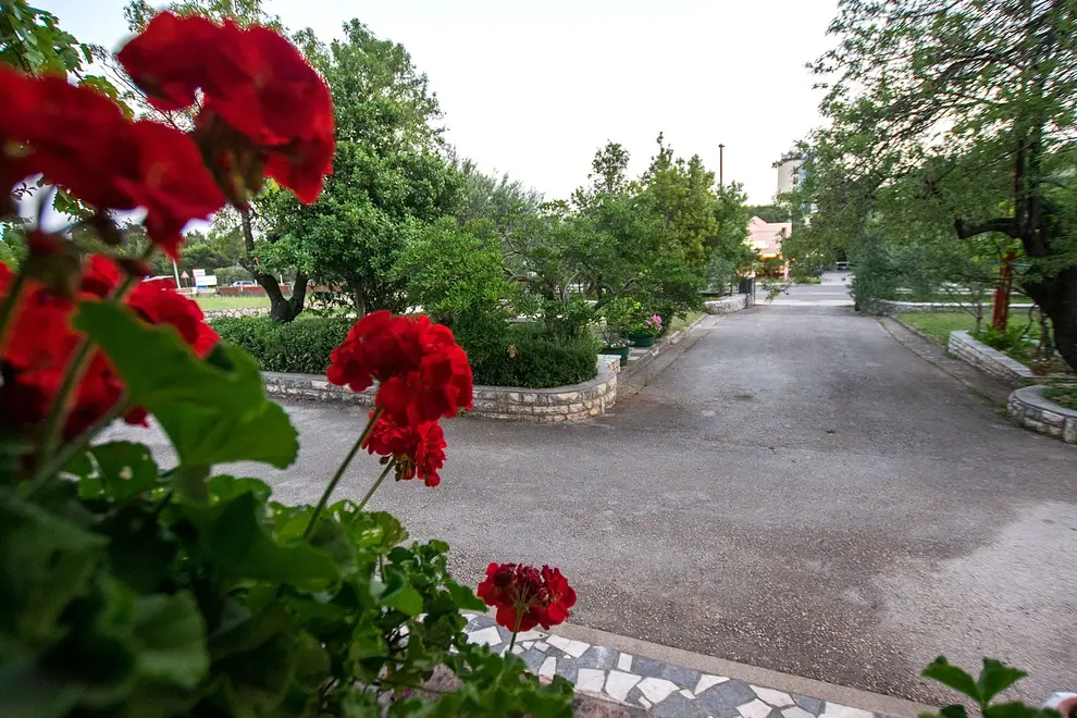 Ferienwohnung in Starigrad  999210133 38011 – Foto 44
