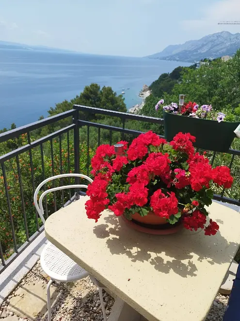 Ferienwohnung in Brela  66154805 28096