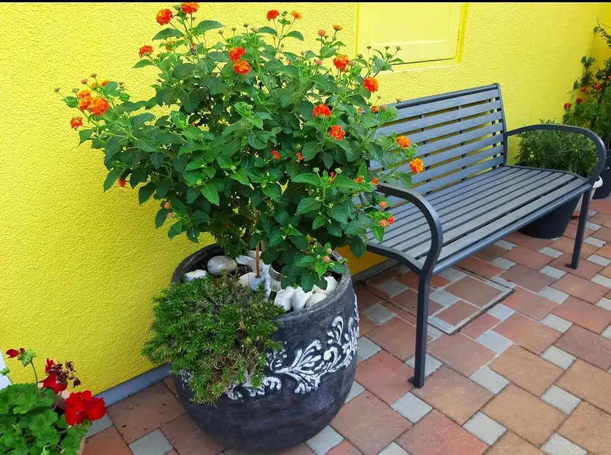 Ferienwohnung in Buje mit Pool 999227614 42517 – Foto 31