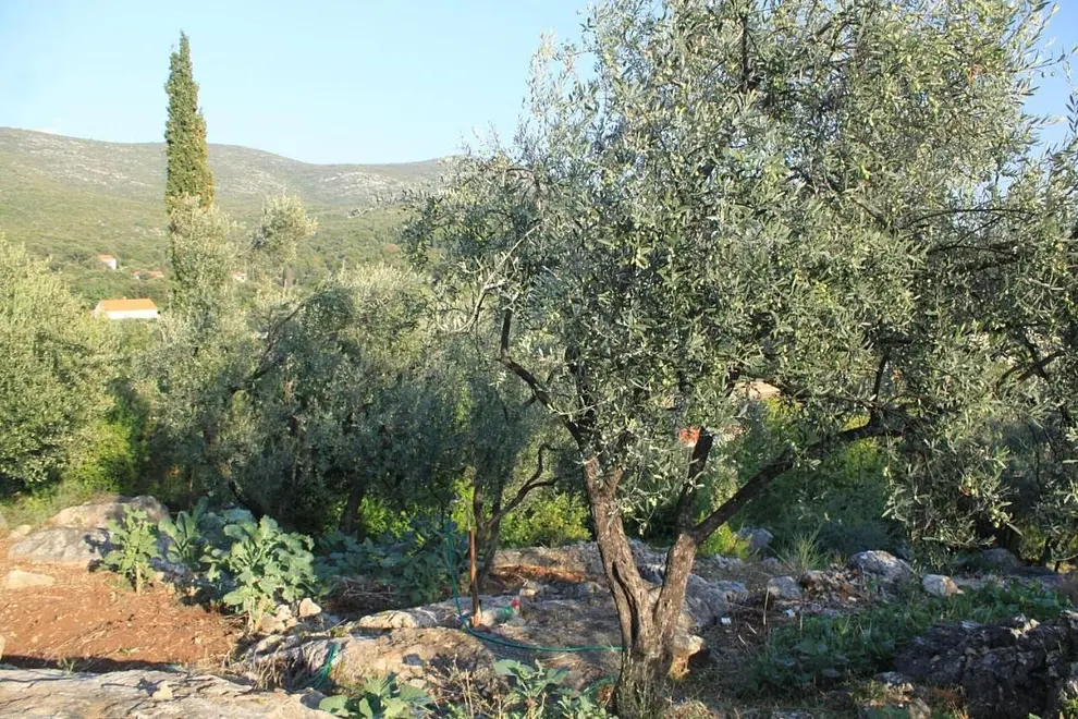 Ferienwohnung in Dubrovnik  999209914 41210 – Foto 13