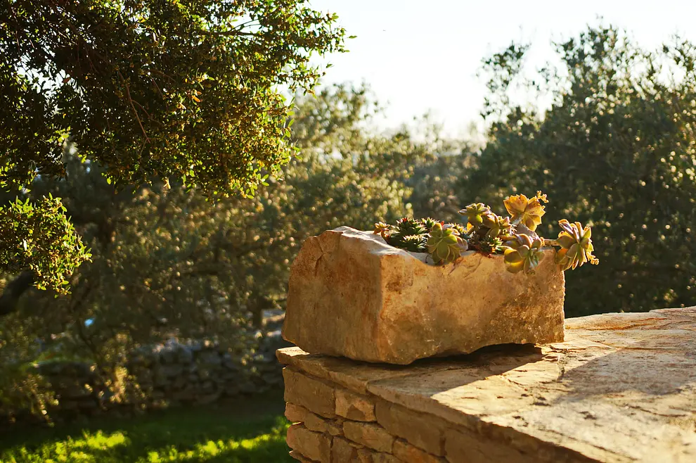 Ferienwohnung in Korcula  999210417 38279 – Foto 18